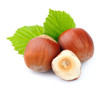 filbert nuts