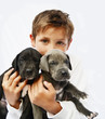 Kind mit welpen