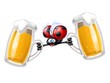 coccinella birre