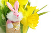 Photo: Cute pink bunny with yellow daffodil flowers. Cute pink bunny with yellow daffodil flowers.