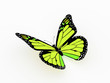 Butterfly rendered yellow