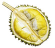 durian fruit