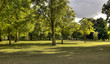 Park trees