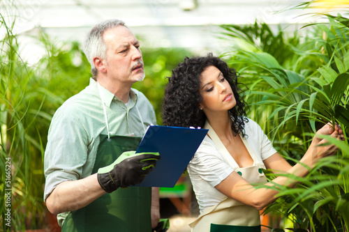Photo: Greenhouse workers Greenhouse workers