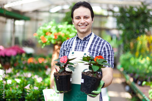 Photo: Greenhouse worker holding flower pots Greenhouse worker holding flower pots