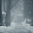 fog at the cemetery