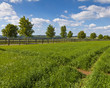 Idyllic rural farmland, Cotswolds UK