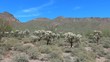 Panning Shot of Desert and Mountains