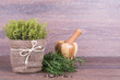 Fresh herbs