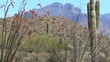 Superstition Mountain View