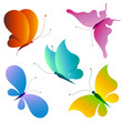 butterfly,butterflies vector