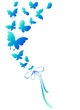 butterfly,butterflies
