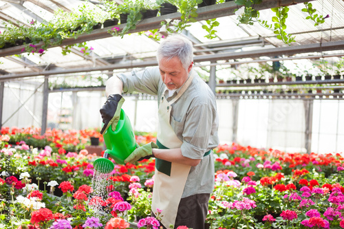 Photo: Worker watering plants Worker watering plants