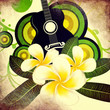 Grunge plumeria flowers and guitar