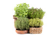 Fresh herbs