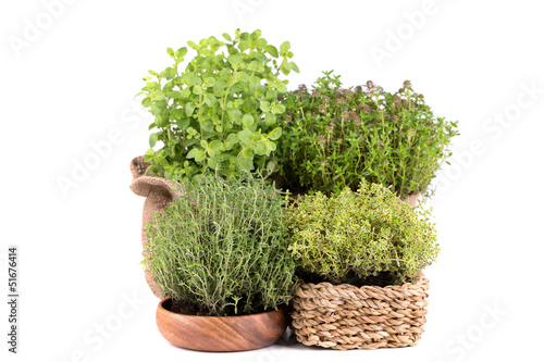 Photo: Fresh herbs Fresh herbs