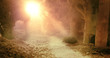Sunrise in the forest of food