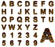 Alphabet in style of a safari
