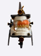 dental lab denture