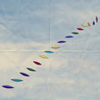 Photo: kite tail kite tail