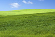 colline verte