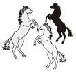 horse standing a vector