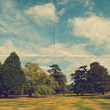 Photo: woodland paper woodland paper