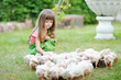 canvas print picture - portrait of a little girl and chickens