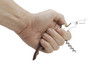 Foto: hand holds corkscrew isolated on a white background hand holds corkscrew isolated on a white background