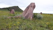 Video: Standing stones. Standing stones.