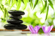 Spa still life