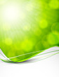 Abstract green background