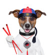 asian dog