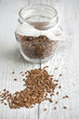 Flaxseed - Linum usitatissimum - common flax