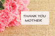 Pink carnations flower for Mother's day