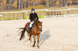 Photo: equestrian on horseback equestrian on horseback