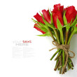 Bouquet of roses