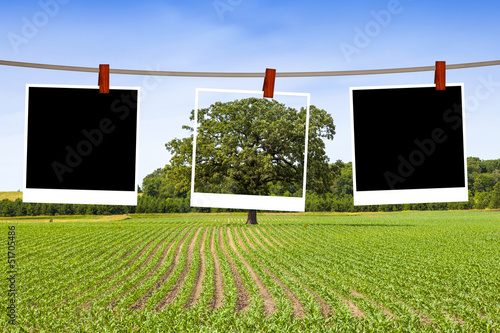 Photo: Blank Pictures on American Countryside Blank Pictures on American Countryside