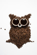 coffee core owl