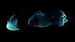 Loopable texture background