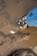 Photo: muddy shoes muddy shoes