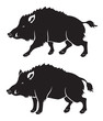 wild boar