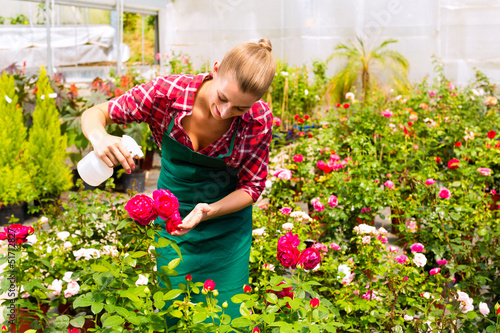 Photo: Female gardener in market garden or nursery Female gardener in market garden or nursery
