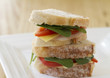 Healthy sandwich horizontal space for text