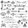 Set of vector floral elements for design