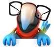 Fun parrot
