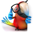 Fun parrot