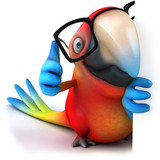 Fun parrot