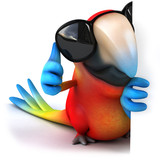 Fun parrot