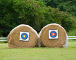 target archery in field